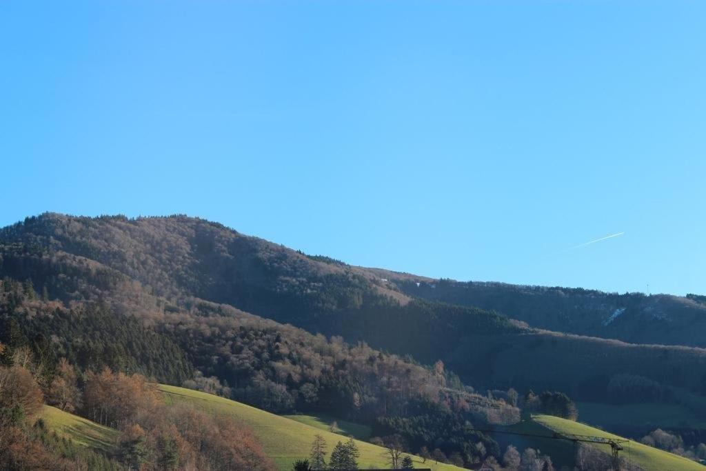 Hotel Gasthaus Zur Linde Glottertal Exteriör bild